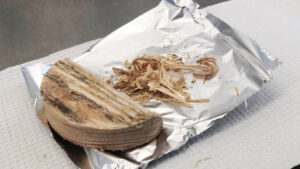 Puunäyte josta tutkitaan tetrakloorianisolipitoisuus
